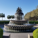 Waterfront Park and the French Quarter District