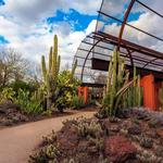 Desert Botanical Garden