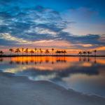 Matheson Hammock Park & Marina