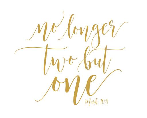 The Wedding Website of Alexandra Rosado and David Palos