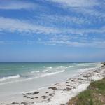 Honeymoon Island