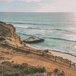 Torrey Pines State Reserve