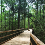 Turkey Creek Park