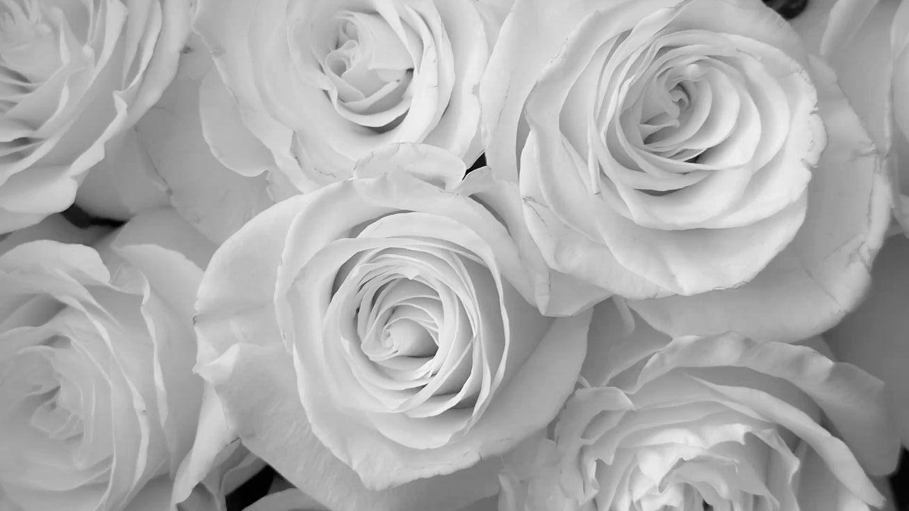 The Wedding Website of Georgia Baxter and Mustafa Muharrem