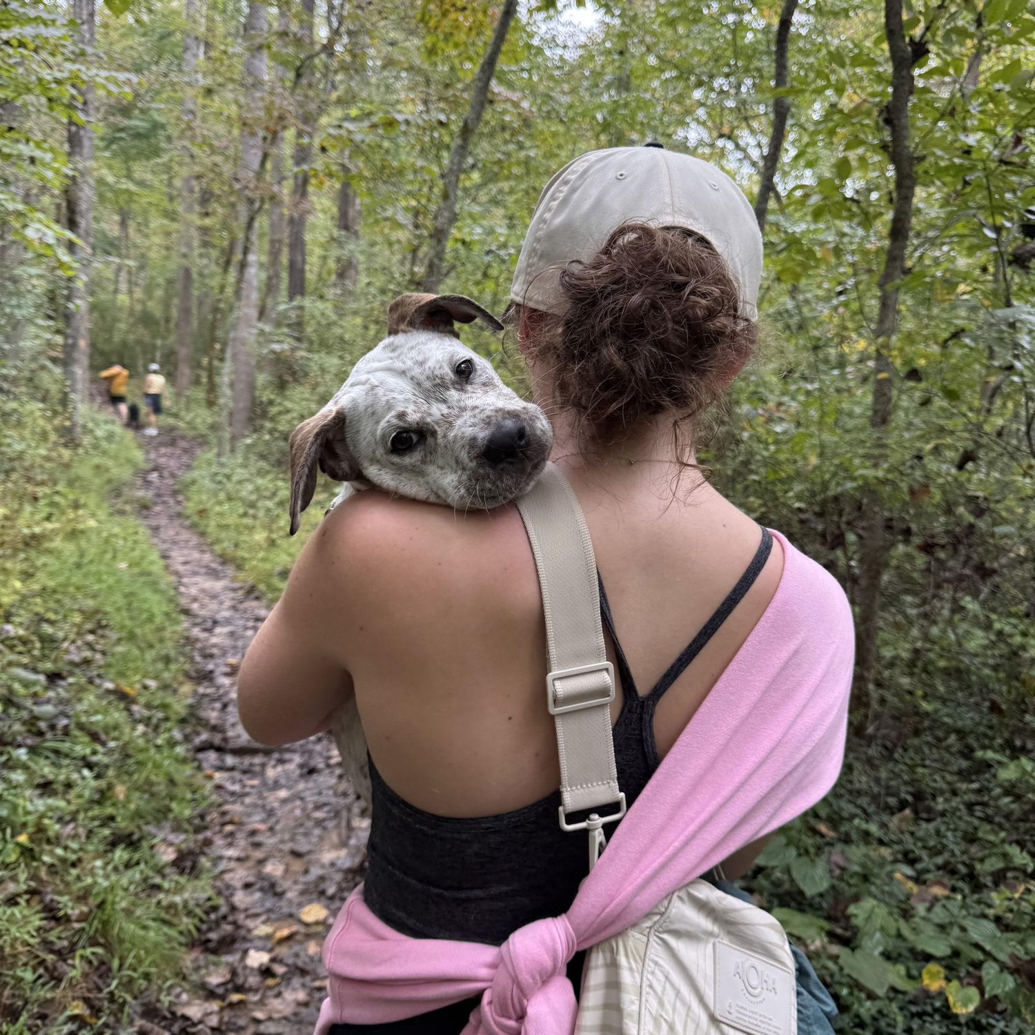 Baby Beanie's first hike.