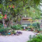Tucson Botanical Gardens