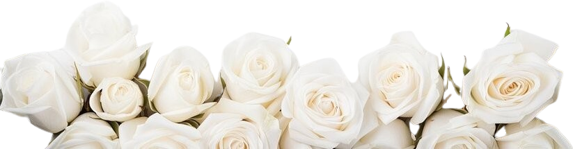 The Wedding Website of Amber Anderson and Conner Sorensen