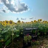 Tranquillity Farms