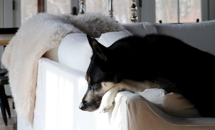 The Wedding Website of Amanda DiGiacomo and Jason Pastuzyn