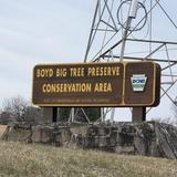 Boyd Big Tree Preserve Conservation Area