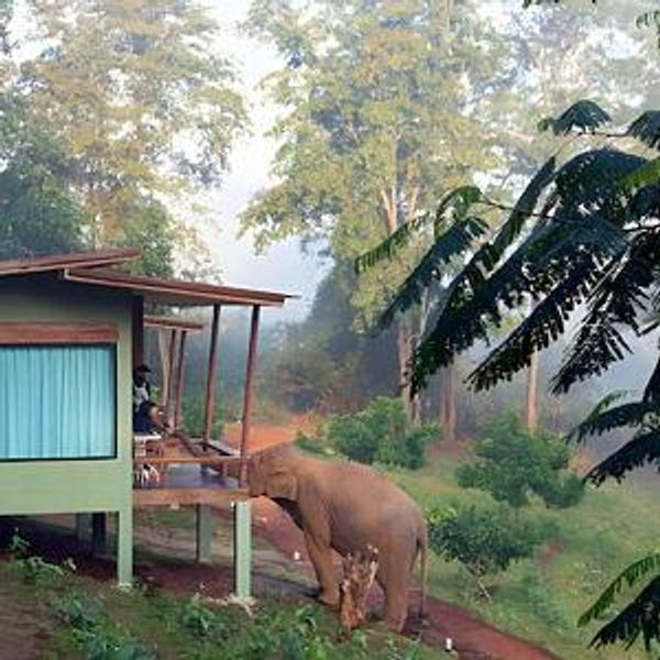 Thailand Honeymoon Fund