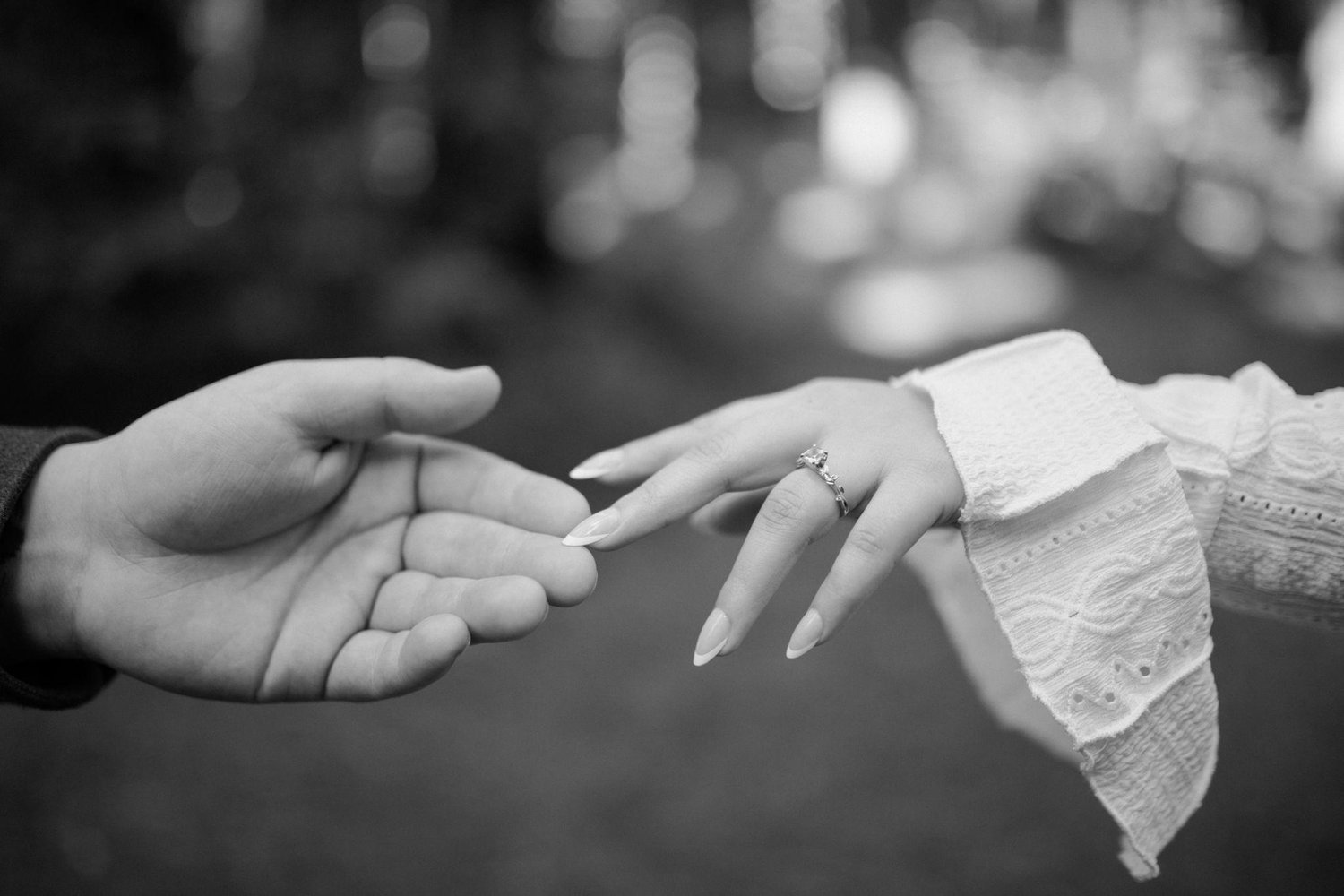 The Wedding Website of Brenda Aguilar Fernandez and Wyatt Ousey