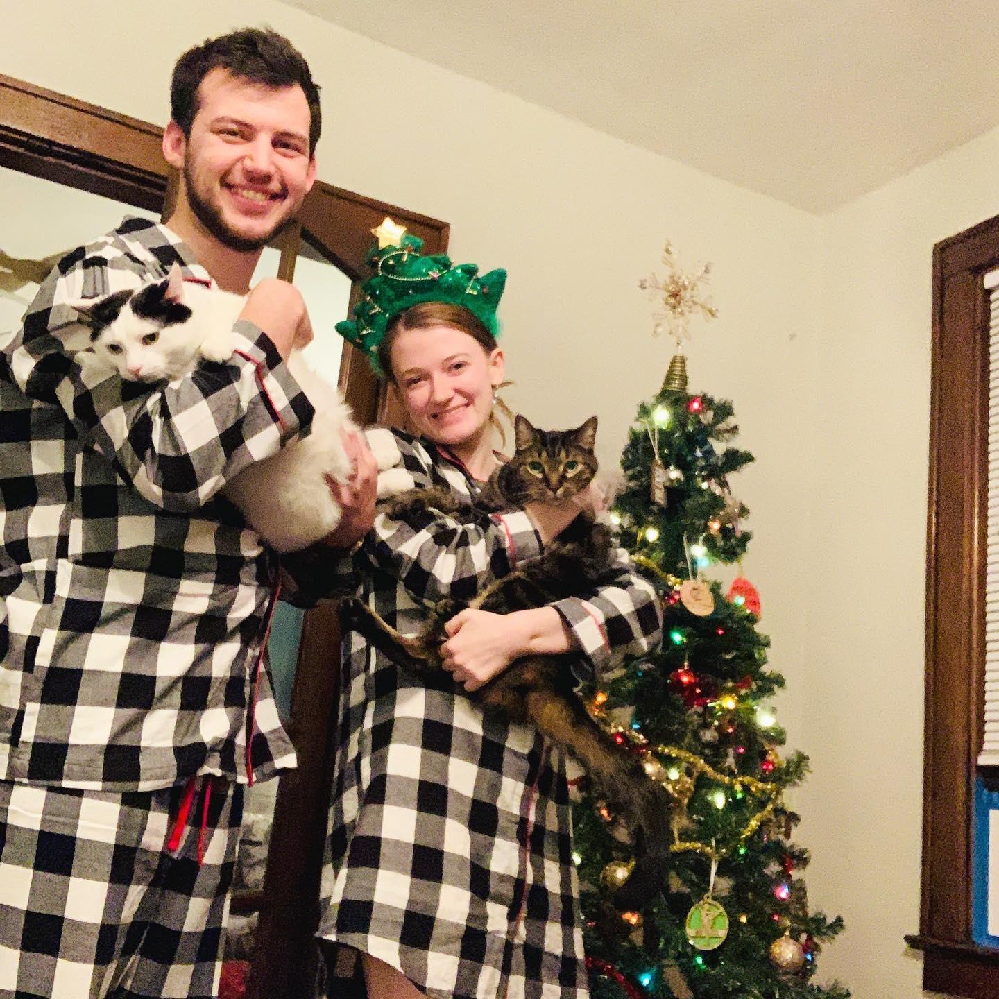 Christmas with our kitties in our little studio apartment.