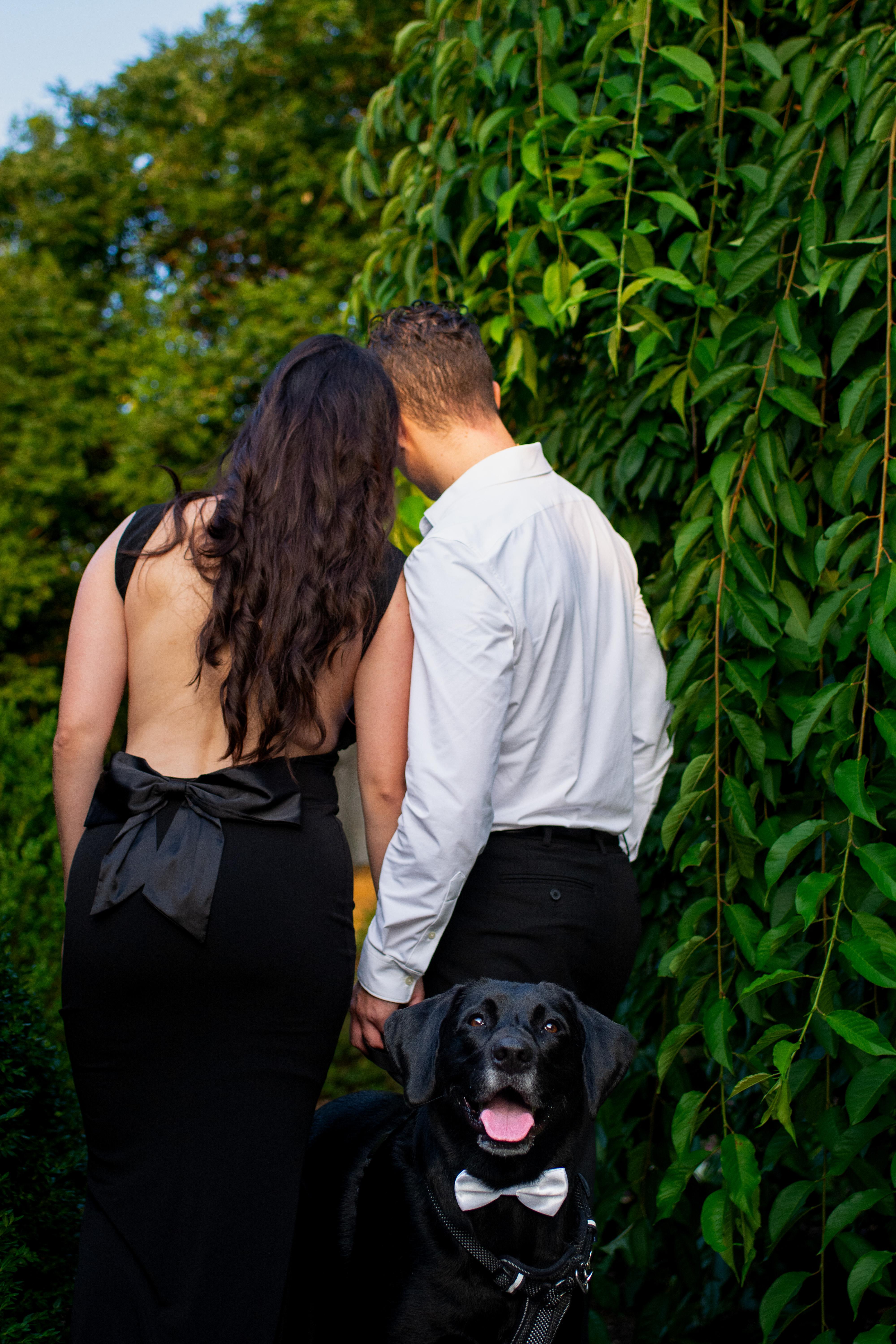 The Wedding Website of Diana Loayza and Niko Fichera