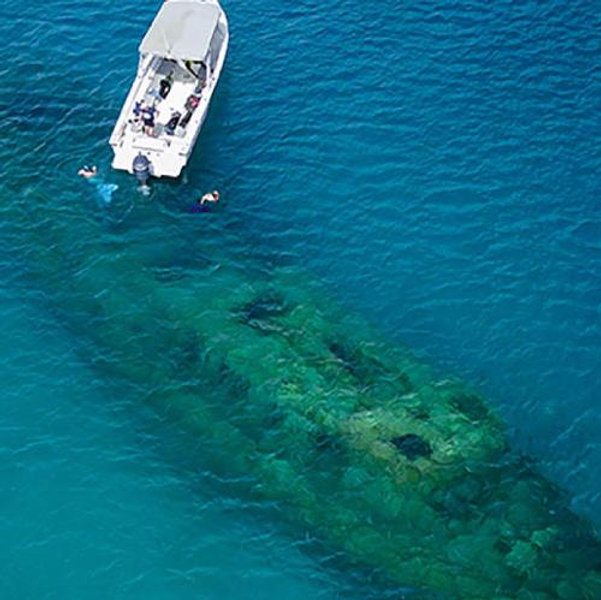 Shipwreck Snorkel Adventure