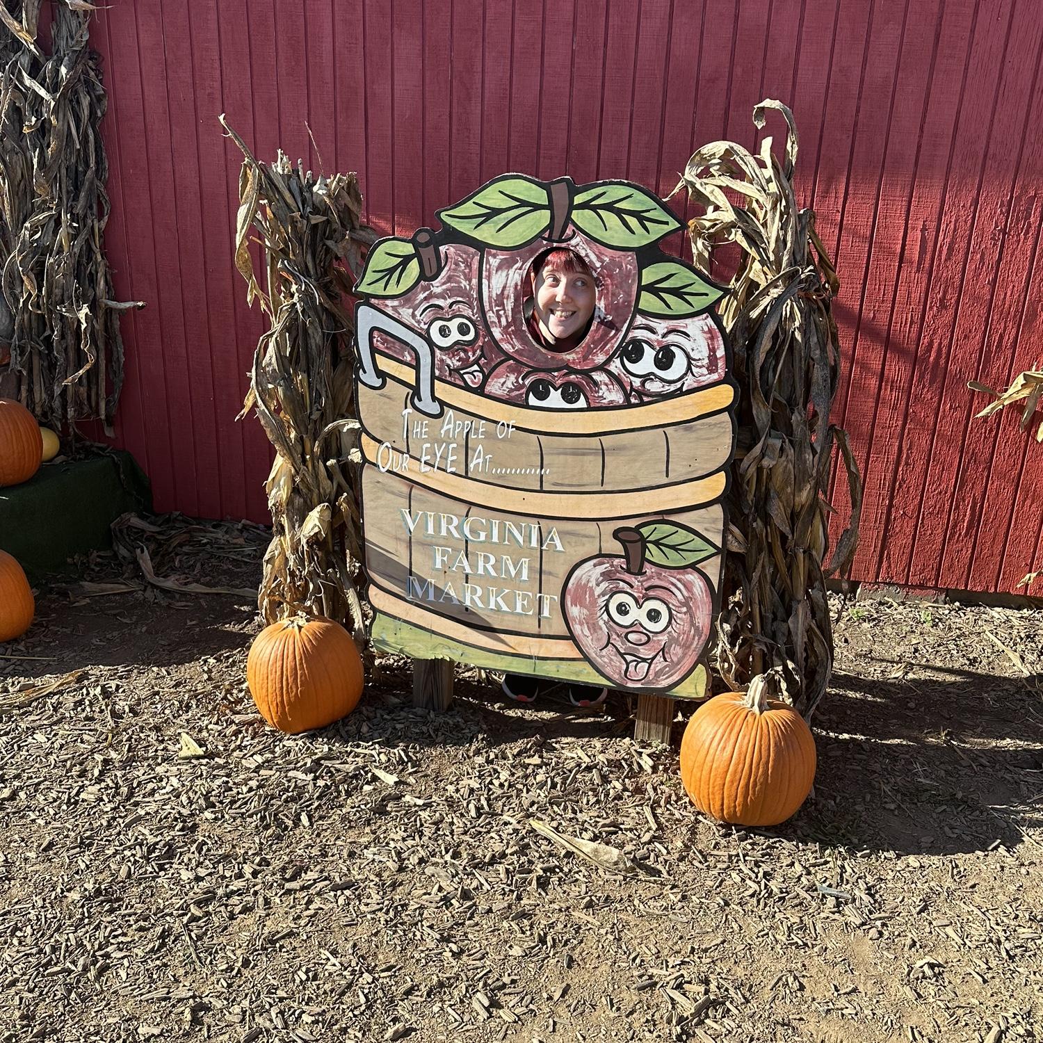 Picking pumpkins from the Virginia Farm Market