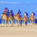 Camel Outback with Mexican Buffet & Tequila Tasting