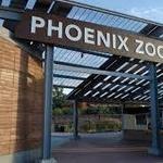 Phoenix Zoo