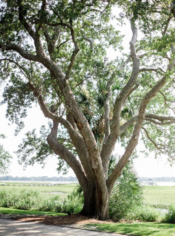 The Wedding Website of Chase Richardson and Ben Crane