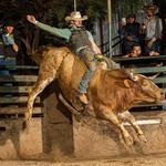 Buffalo Chip Saloon and Steakhouse