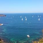 Spit to Manly Walk