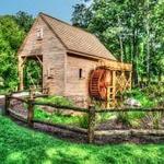 Greensboro Botanical Gardens