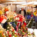 Wander Through the Flower Market (Mercado de Flores)