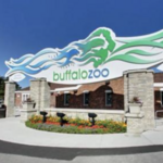 The Buffalo Zoo