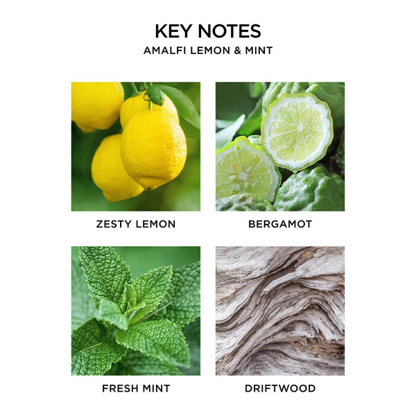 NEST Fragrances Amalfi Lemon & Mint Votive Candle - Thumbnail 2