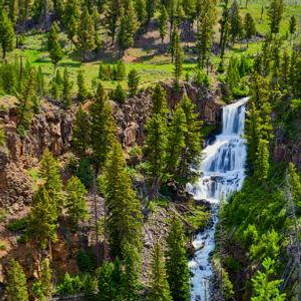 Yellowstone picnic