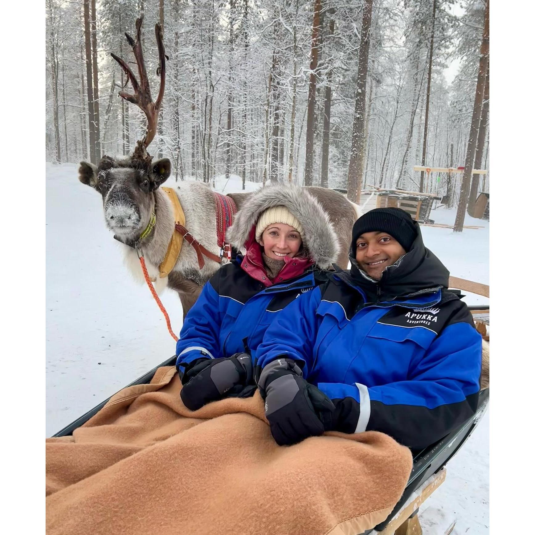 Reindeer Adventures in Finland