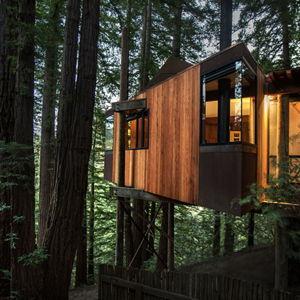 Treehouse Stay
