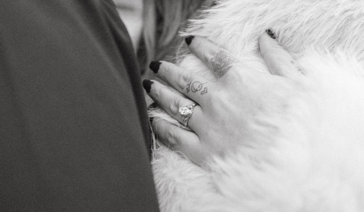 The Wedding Website of Quentin Wills and Sarah Foster