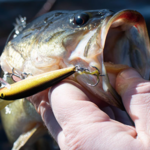 Fishing in Possum Kingdom Lake