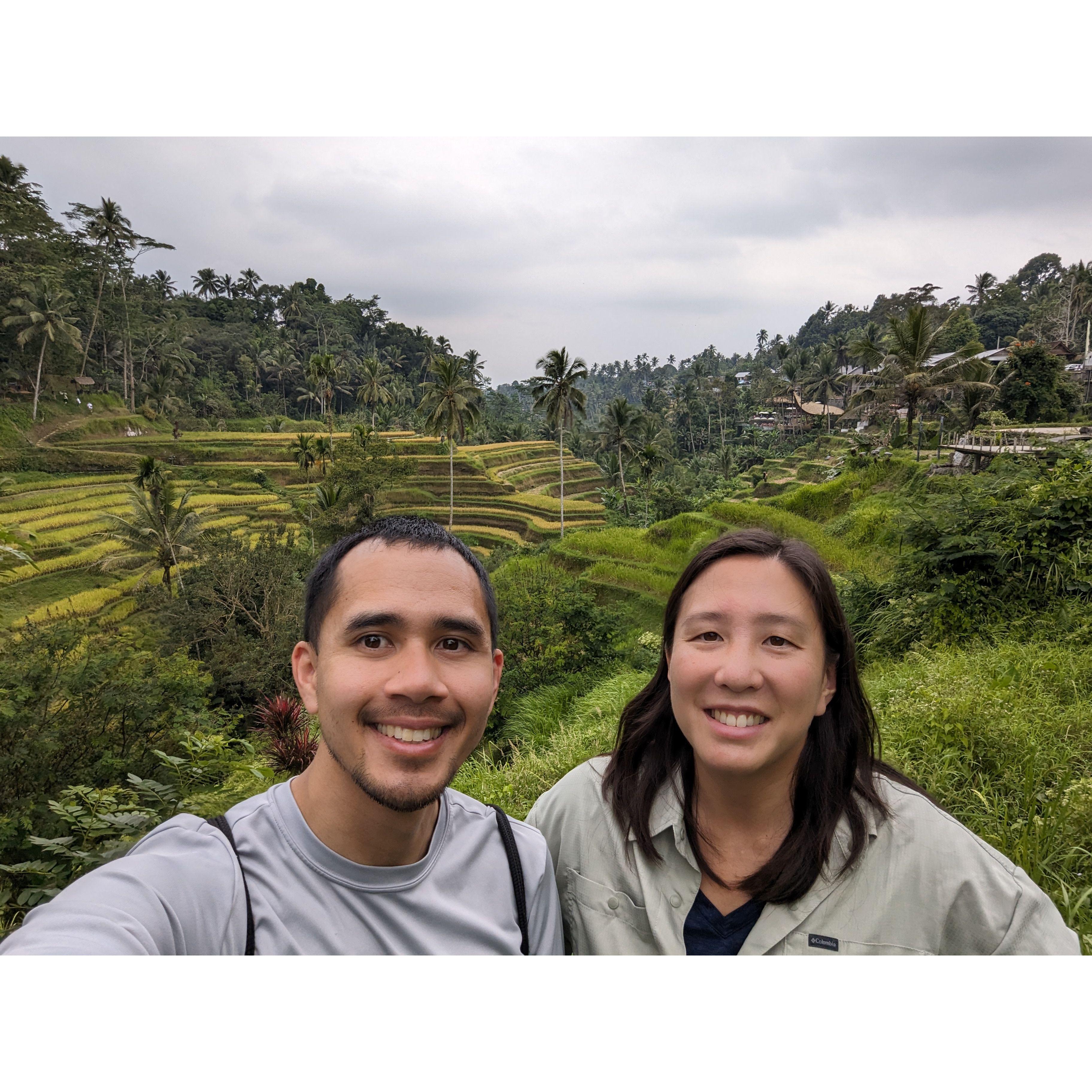 Ubud Rice Terrace (Bali, Indonesia) 2023