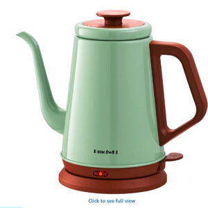 Electric Kettle(1.0L), 100% Stainless Steel BPA Free Classic Pour Over Coffee Kettle | Tea Kettle - Green