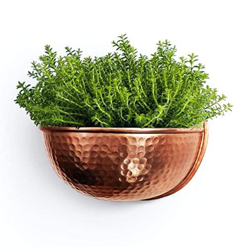 Allegorie Copper Wall Planter | Indoor or Outdoor Hanging Plant Pot | Farmhouse Decor & Boho Kitchen Decoration for Herbs & Succulents 12x7