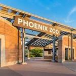 Phoenix Zoo