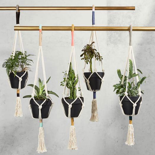 Yerbamala Designs Plant Hangers - Colorblock