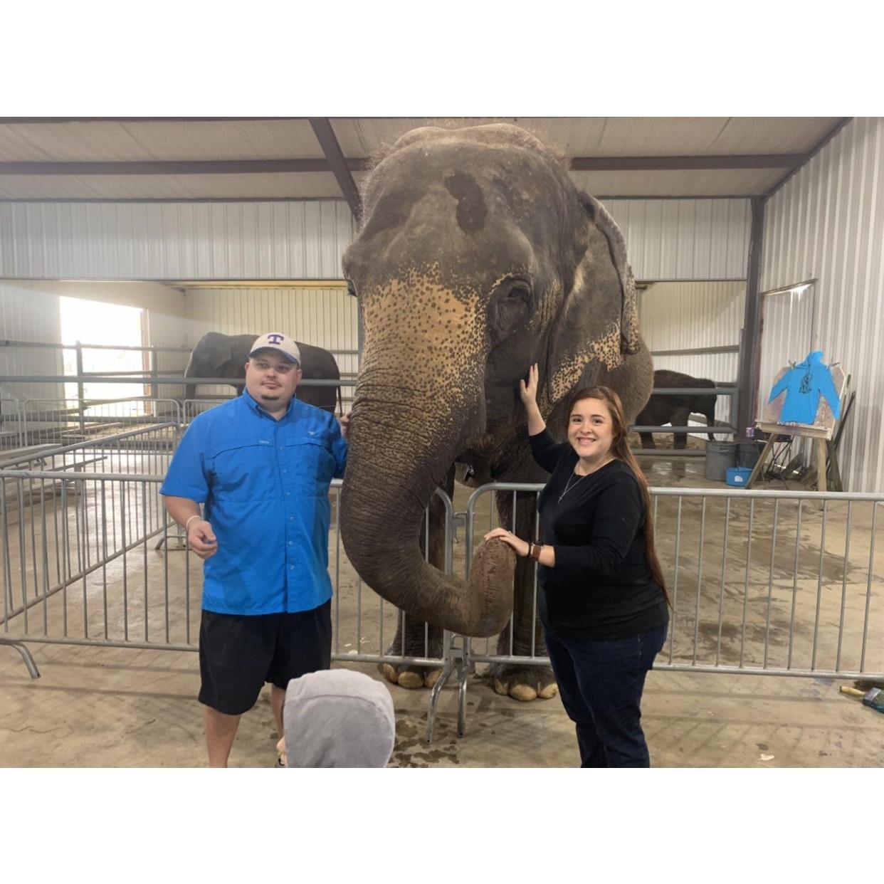 We gave an elephant a bath