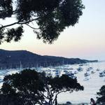 Catalina Island