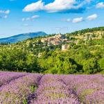 3. La Provence