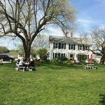 Truro Vineyards