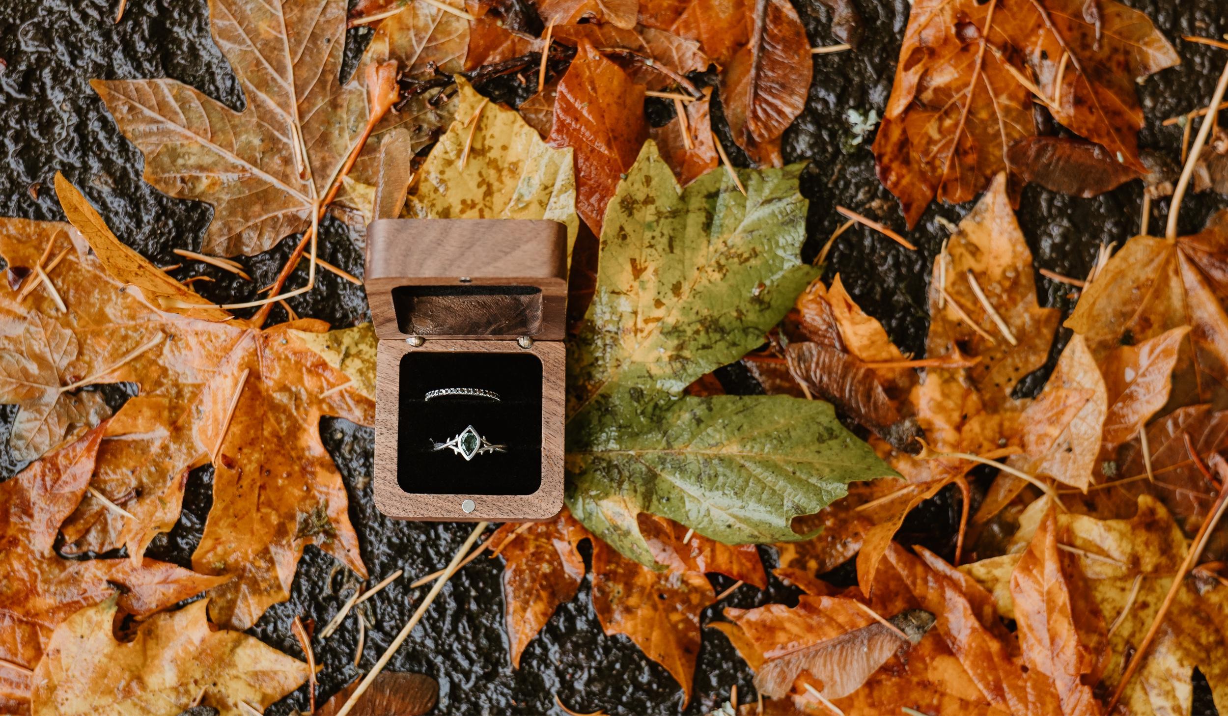 The Wedding Website of Natalie Fox and Luca Crabtree