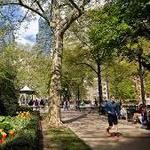 Rittenhouse Square
