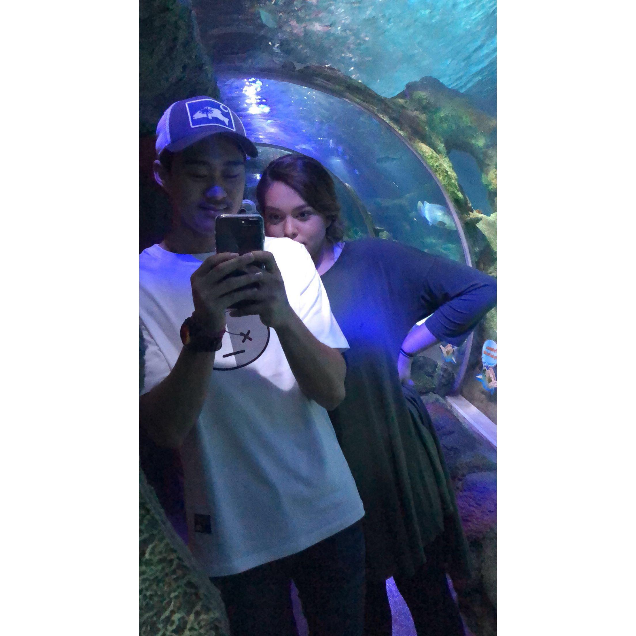 Our First Date at the aquarium