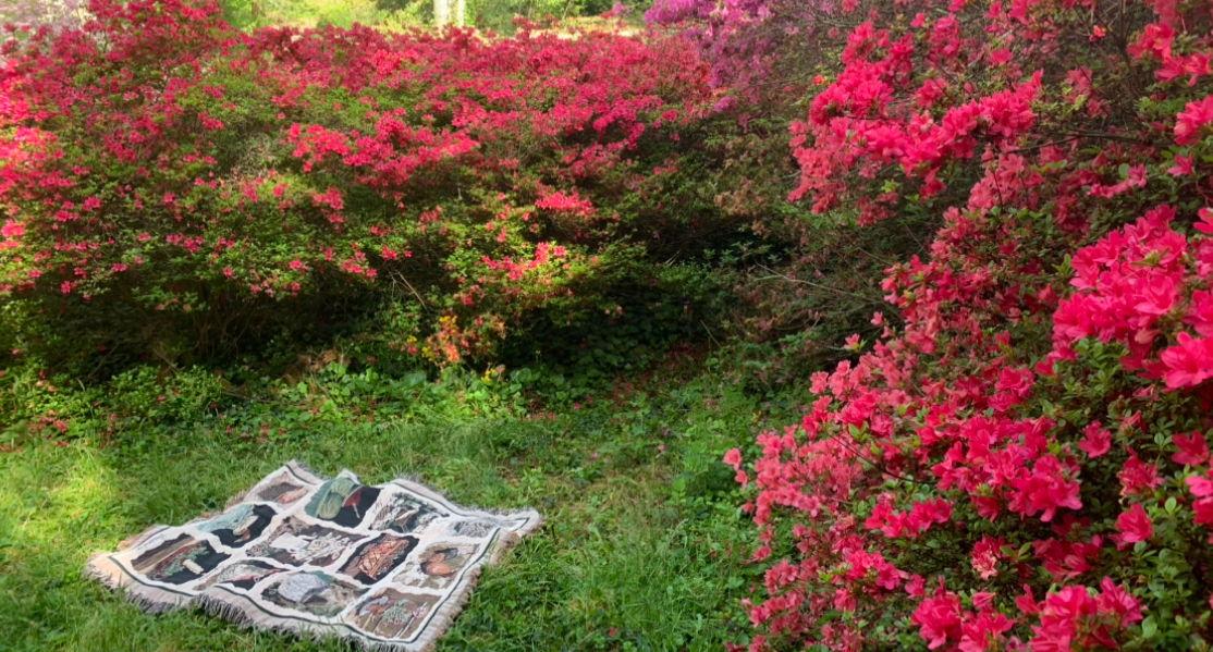 The Wedding Website of Roxie Topper and Luke Cagle