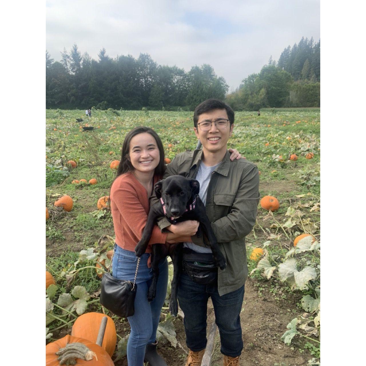We picked the wiggliest pumpkin