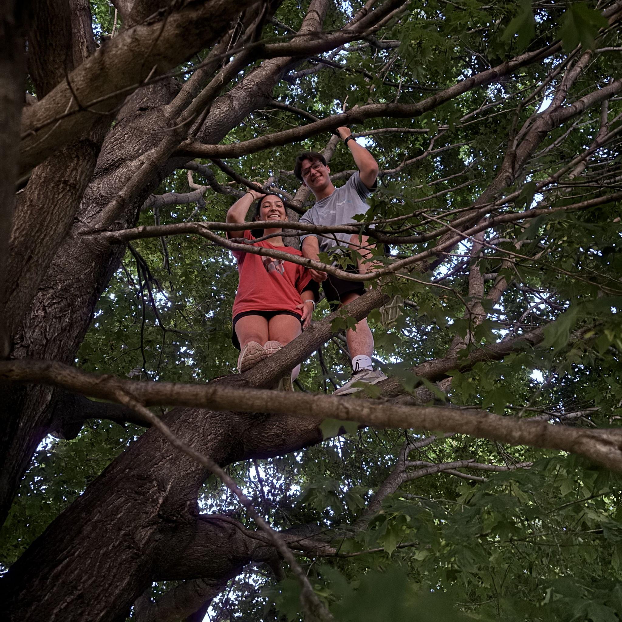 Fourth of July, 2025