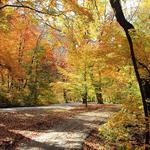 Cherokee Park